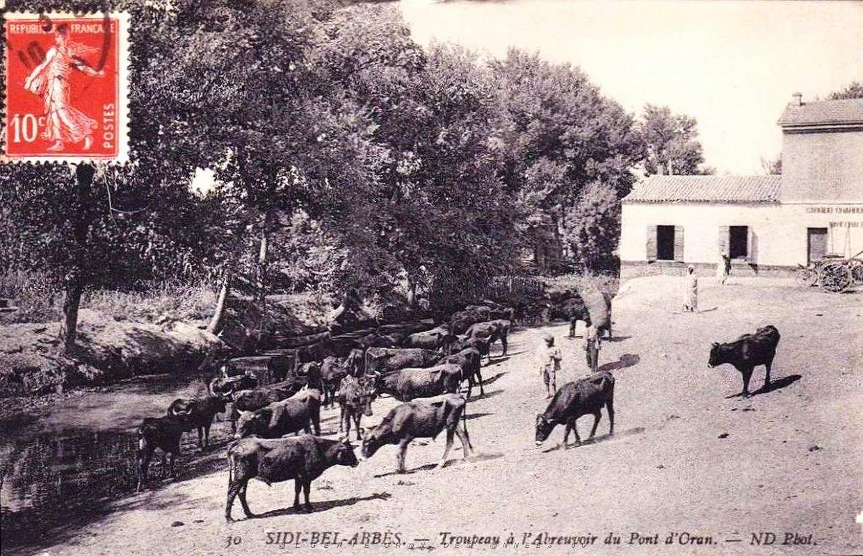Sidi-bel-abbes 367.jpg